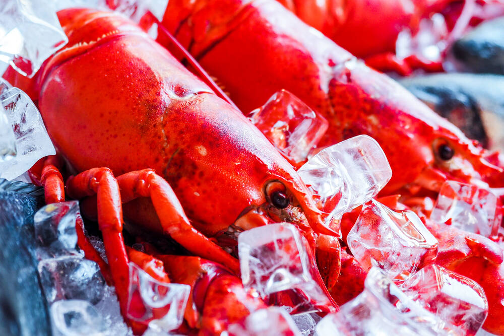 Lobster Specials